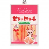 ������륭���ۥ�����ʴ䲼�ο���ժ B����