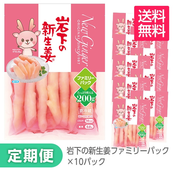 定期オトク便】岩下の新生姜ファミリーパック×10パック［送料無料