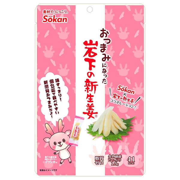 新生姜20㎏ 楽天市場】【産地おまかせ】新しょうが A品 秀品 Lサイズ 1kg 新