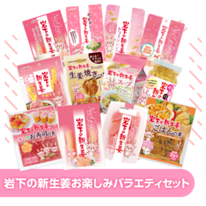岩下の新生姜お楽しみバラエティセット | おすすめバラエティセット