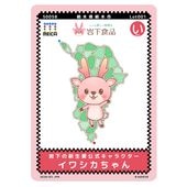 ���亮�������MEICA 2026