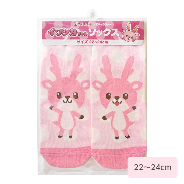 ڥͥ椦ѥåѡۥ亮󥽥å