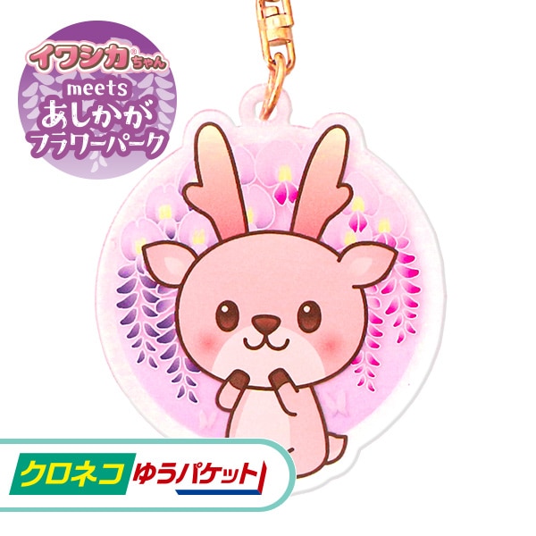 �ڥ����ͥ��椦�ѥ��å����ѡۥ��亮������󥢥���륭���ۥ���������������ե��ѡ�����