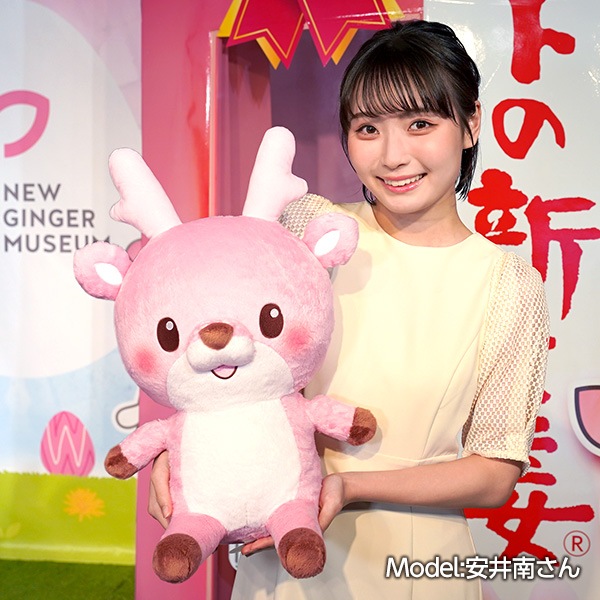 ��Xmas Sale�ۥ��亮�������̤�����ߥ�����