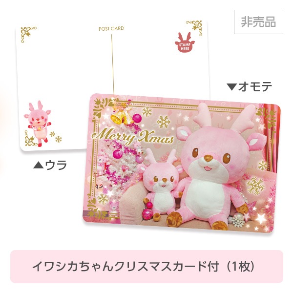 ��Xmas Sale�ۥ��亮�������̤�����ߥ����ѡ�������