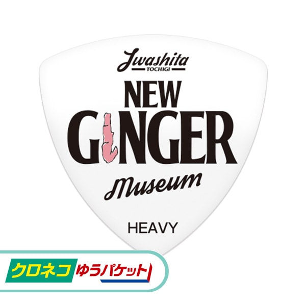 �ڥ����ͥ��椦�ѥ��å����ѡۥ������ԥå�D����/����/HEAVY��