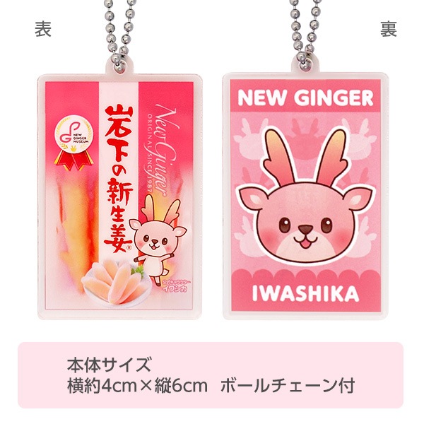 �ڥ����ͥ��椦�ѥ��å����ѡۥ�����륭���ۥ�����ʴ䲼�ο���ժ A����