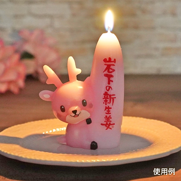 ���亮������󥭥��ɥ�