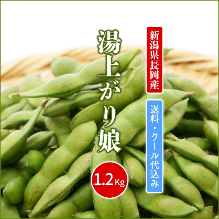 7/下旬発送）湯上がり娘【送料・クール代込】 | 枝豆（季節限定