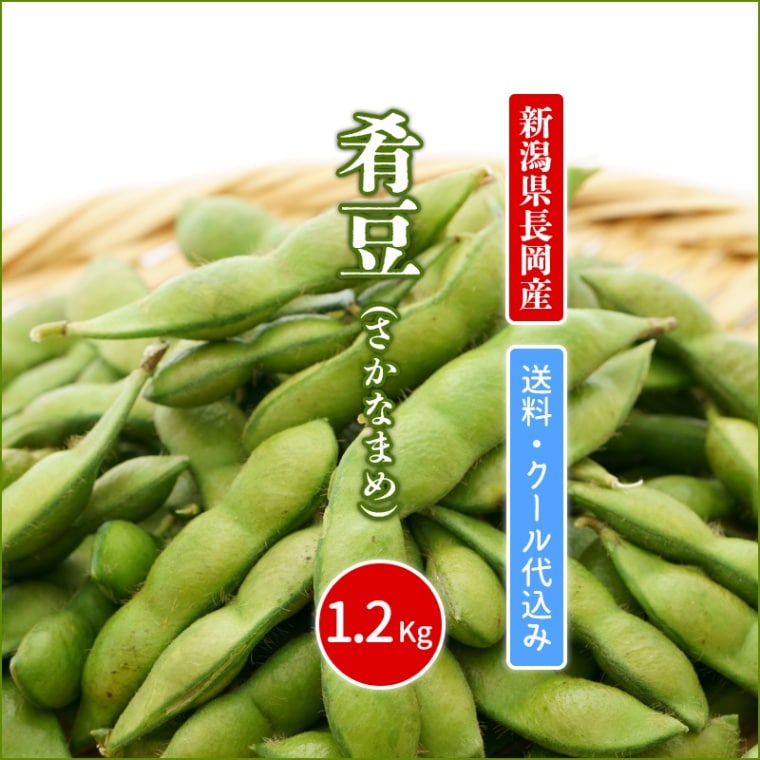 まめな枝豆様専用 玄米23㎏ まめな枝豆様専用 玄米23㎏