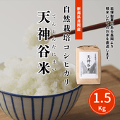 �������ݥ����ҥ��ꡡŷ��ë��(7ǯ��) 1.5kg