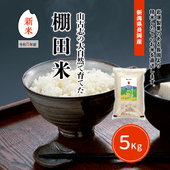 �㿷�ơ仳�Ż֤��缫���ǰ�Ƥ�ê���� (8ǯ��) 5kg