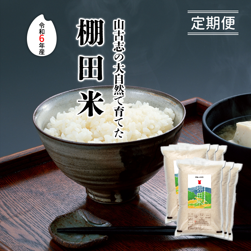ءջŻ֤缫ǰƤêơ6ǯ 5kg6