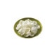�������� �դ�ä� ��Ʀ̣ 32g��10��