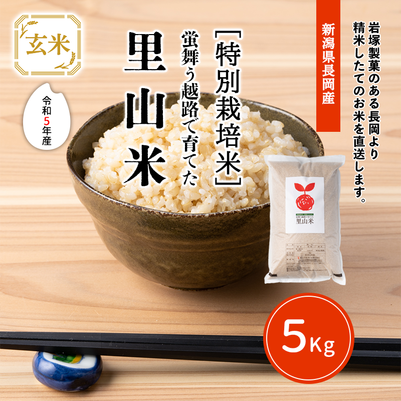 精米済み10キロ【農家直送！】新潟県産こしいぶき　特別栽培米　6年産　低温冷蔵 精米済み10キロ【農家直送！】新潟県産こしいぶき 特別栽培米 6年産