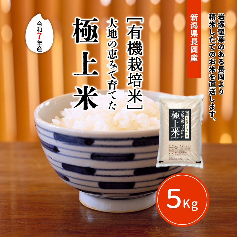 ���Ϥηäߤǰ�Ƥ��˾��� ��7ǯ����5kg