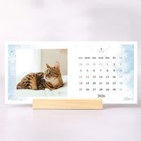 【チャリティー】卓上カレンダー2026　シンプルタイプ　（12枚/スタンド付）