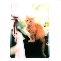 【自由にデザイン】　クリスタルフォトパネル