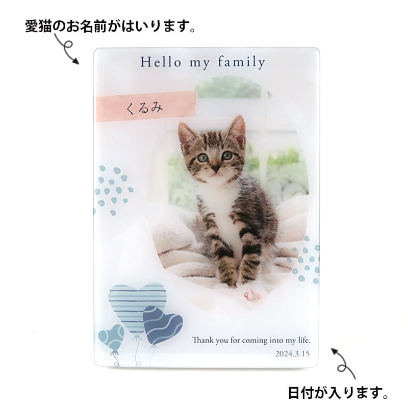 M3様用個別オーダーページ パネル生地 ねこ*いぬ*女の子*バッグ等 ハニチェリ様 ハニチェリ様用個別オーダーページ パネル生地