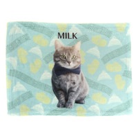 【オーダーメイド（名前入り）】　ブランケット（650×480ｍｍ）　手袋タイプ