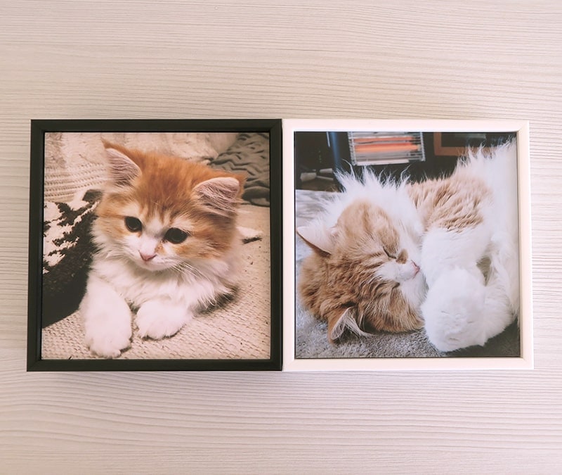 ❀ハンドメイドオーダー用 パネルサンプル❀猫 ❀ハンドメイドオーダー用 パネルサンプル❀猫 ❀ハンドメイドオーダー