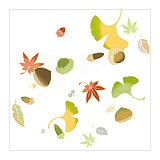 新塩瀬帯　秋の柄「秋の実」 白地