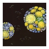 新塩瀬帯　春の柄「たんぽぽと春花」黒地