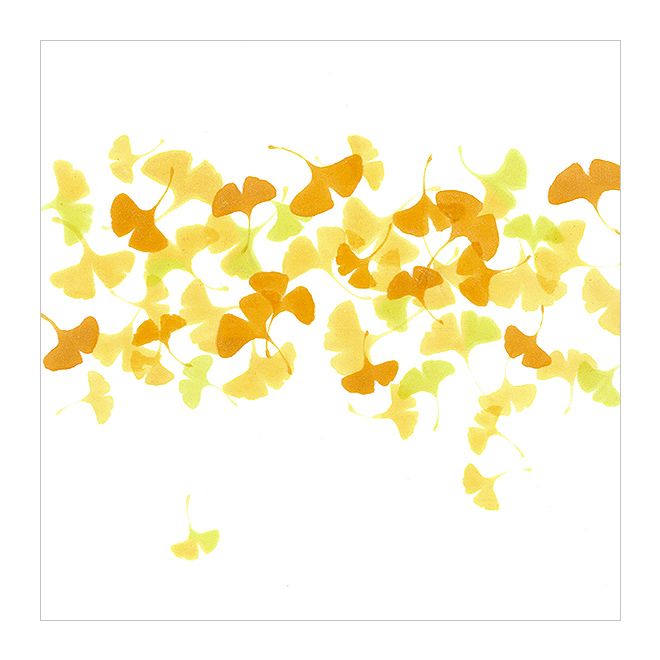 新塩瀬帯　秋の柄「イチョウ散らし」 白地