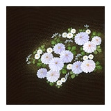新塩瀬帯　秋の柄「菊に小花」 黒地