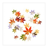 新塩瀬帯　秋の柄「彩紅葉」 白地