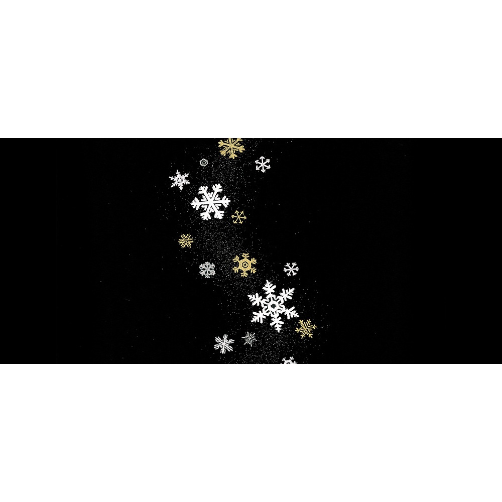 珍品刺繍　鳥さんと星　雪の結晶　名古屋帯　クリスマス 商品紹介・Xmasにも・雪の結晶刺繍名古屋帯・刺繍帯揚