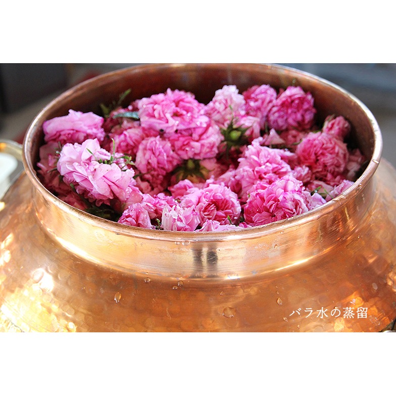 国産 & Organic うらら香ほる 化粧水