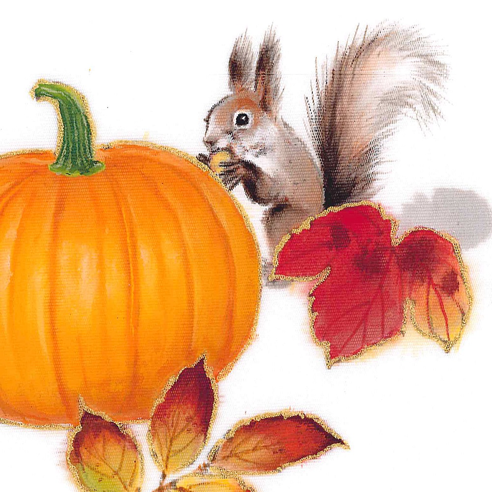 新塩瀬帯 秋の柄「秋の実とリス」 白地｜洗える帯 名古屋帯