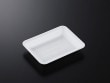 【中央化学】トレーCN20-15F (L)の画像