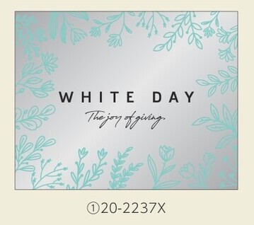 20-2237X ���㥤�ˡ� �ۥ磻�ȥǡ�