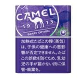 �����롡�٥꡼�����ץ���󡡥ץ롼����