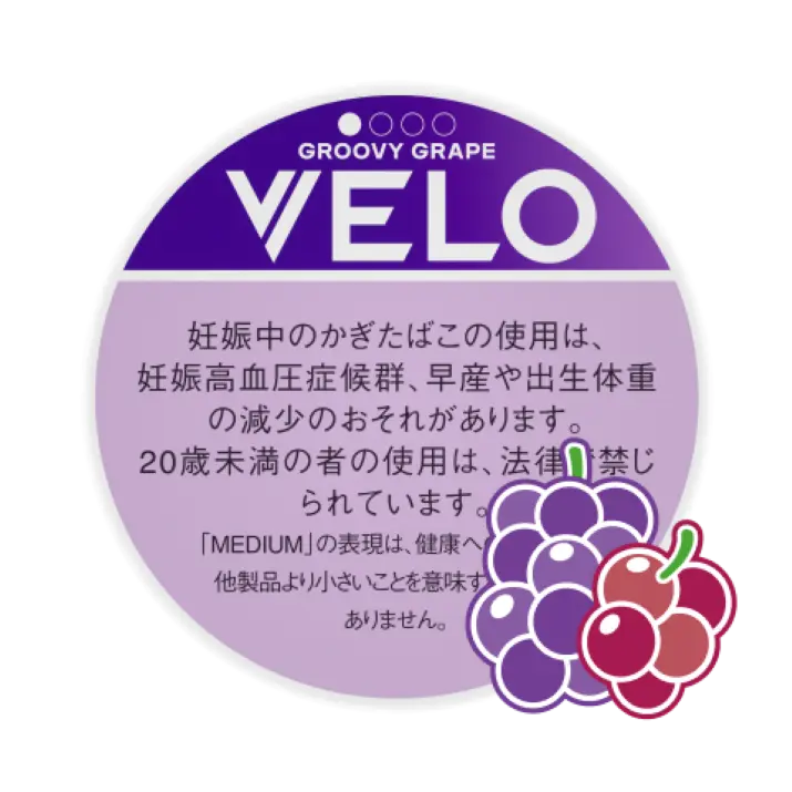 �٥������롼�ӡ������졼�ס��ߥǥ����ࡡ��������