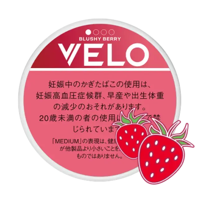 �٥����֥�å������٥꡼���ߥǥ����ࡡ��������