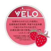 ˥塼롧٥֥å٥꡼ߥǥࡡ