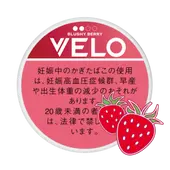 ˥塼롧٥֥å٥꡼ƥ󥹡