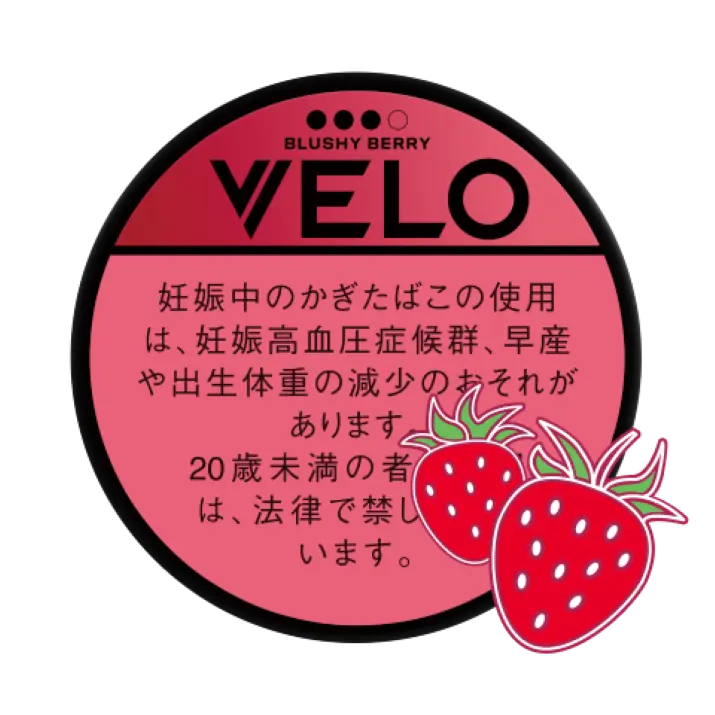 �٥����֥�å������٥꡼�����å�������ƥ󥹡���������