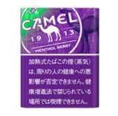 �����롡��󥽡��롡�٥꡼���ץ롼����