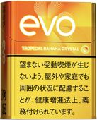 ܡȥԥ롡Хʥʡꥹ롡ץ롼