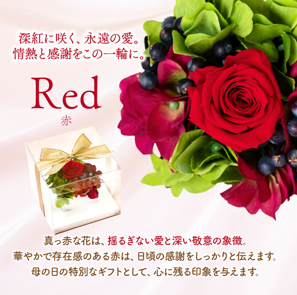 フラワーBOX