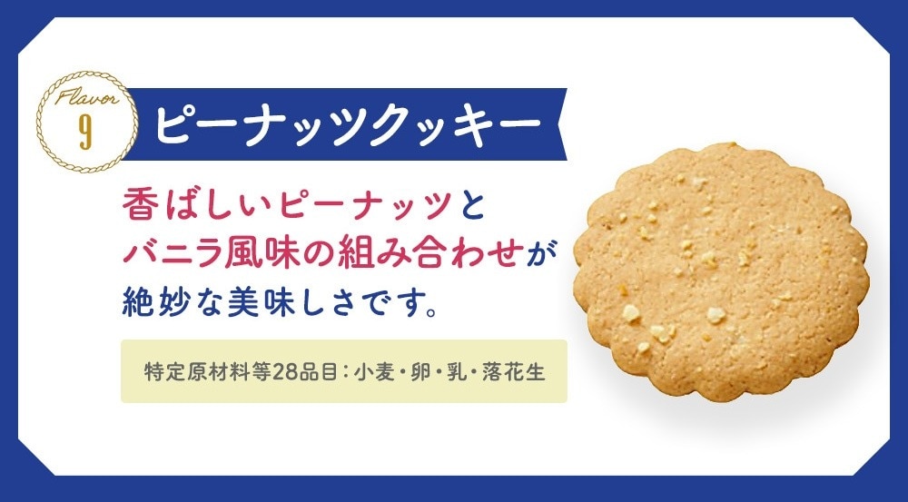 スペシャルクッキーズA-160