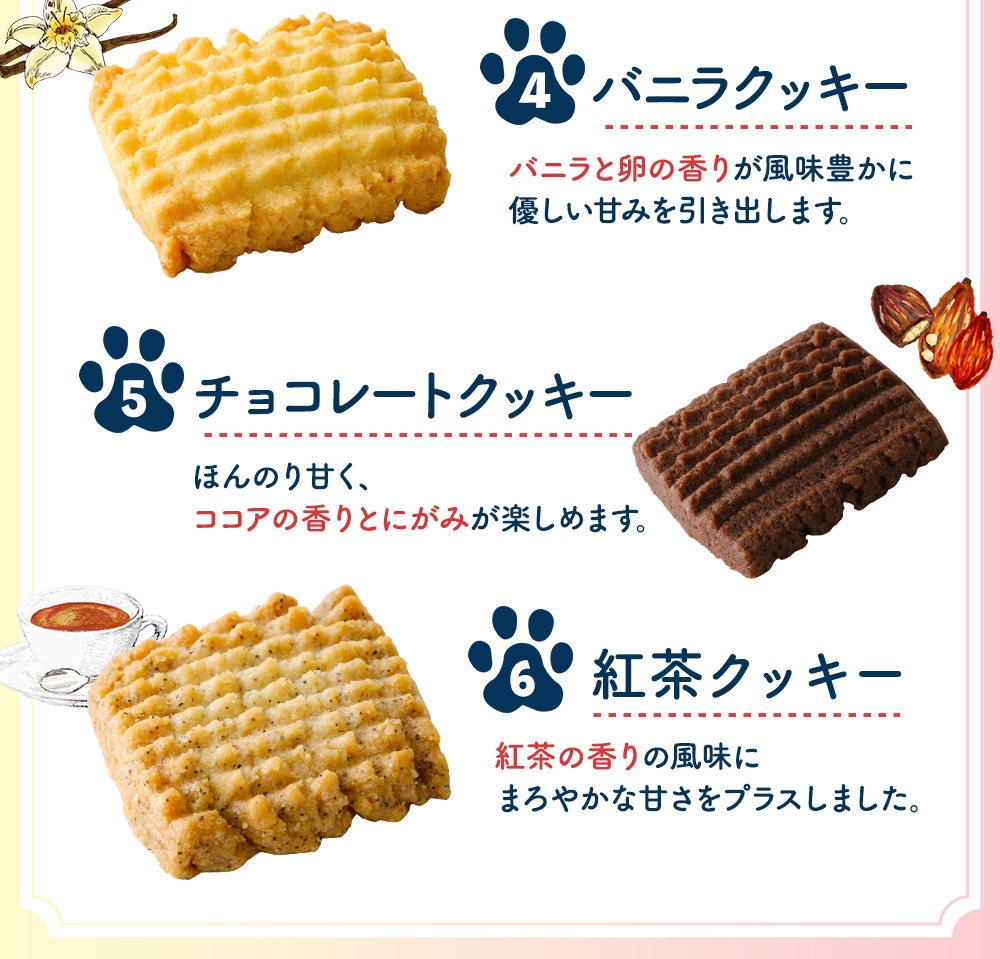 ねこ缶【365日クッキーがつづる幸せ】