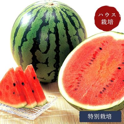【6月初旬～中旬出荷】 侍スイカ L/2Ｌ/3L/特大サイズ ハウス栽培 特別栽培 送料込 奥田農園 日時指定不可