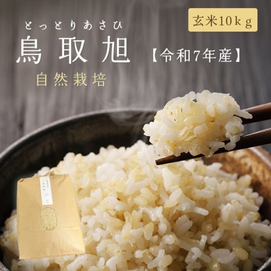 希少米 自然栽培 令和7年産 鳥取旭 玄米 10kg 鳥取県産 数量限定 新米