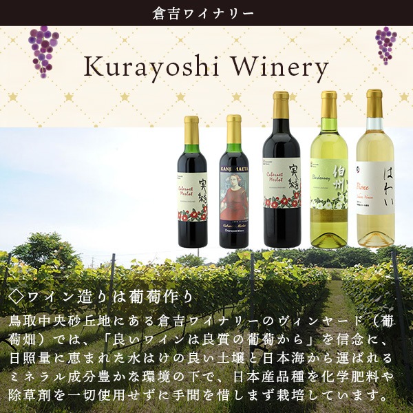 倉吉ワイナリー 伯州 シャルドネ 720ml×1
