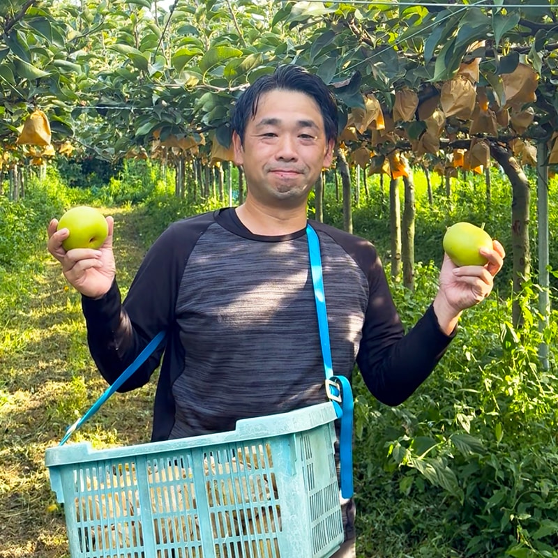 岡垣農園 鳥取県産 二十世紀梨 3kg ギフト用